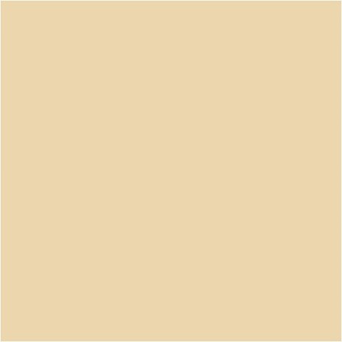 Farba PLUS Color 60 ml Cielisty Beż Farba PLUS Color 60 ml Cielisty Beż