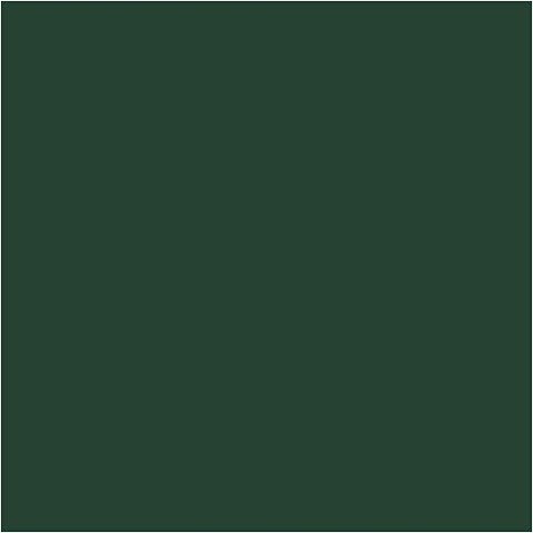 Farba PLUS Color 60 ml Ciemna Zieleń Farba PLUS Color 60 ml Ciemna Zieleń