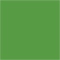 Farba PLUS Color 60 ml Intensywna Zieleń Farba PLUS Color 60 ml Intensywna Zieleń