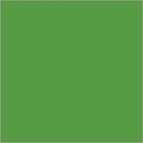 Farba PLUS Color 60 ml Intensywna Zieleń Farba PLUS Color 60 ml Intensywna Zieleń
