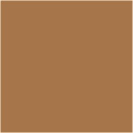 Farba PLUS Color 60 ml Sjena Surowa