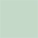 Farba PLUS Color 60 ml Zieleń Wiosny