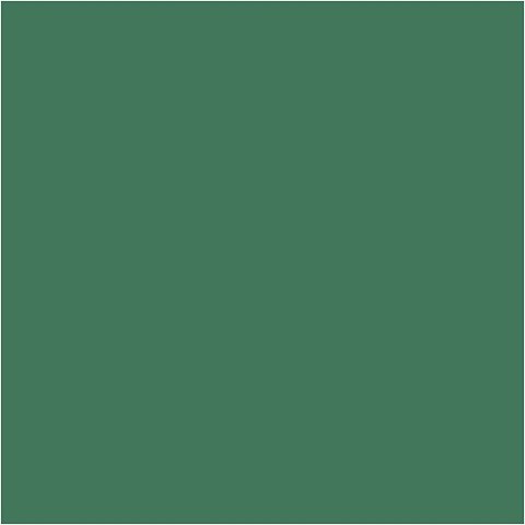 Farba PLUS Color 60 ml Żywa Zieleń Farba PLUS Color 60 ml Żywa Zieleń