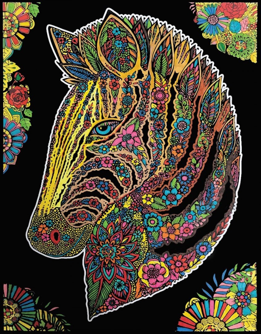 Kolorowanka Welwetowa 47x35 Zebra