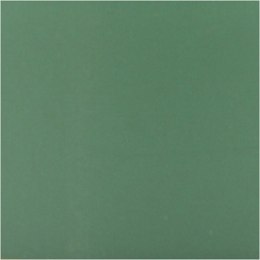 Farba PLUS Color 60 ml Zieleń Lasu