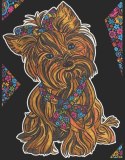 Kolorowanka Welwet. A4 Yorkshire Terrier