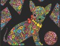 Kolorowanka Welwetowa A4 Chihuahua!