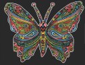 Kolorowanka Welwetowa A4 Motyl