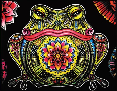 Kolorowanka Welwetowa 47x35 Żaba Kolorowanka Welwetowa 47x35 Żaba