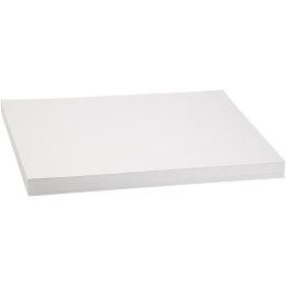 Papier Biały A3 250g 100 ark.