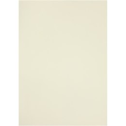 Papier Welinowy A4 100g 10 ark. Biały