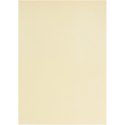Papier Welinowy A4 100g 10ark. Naturalny