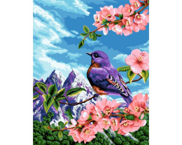 Malowanie po numerach 40x50 ptak