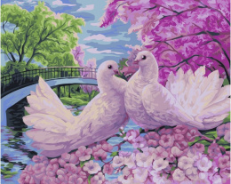 Malowanie po numerach 40x50 ptaki