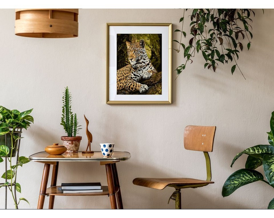 Malowanie po numerach 40x50 spojrzenie Malowanie po numerach 40x50 spojrzenie