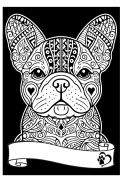 Kolorowanka Welw. A4 Buldog Francuski Kolorowanka Welw. A4 Buldog Francuski