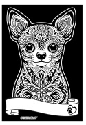 Kolorowanka Welwetowa A4 Chihuahua Kolorowanka Welwetowa A4 Chihuahua