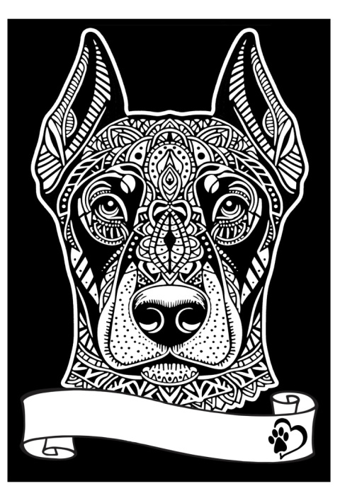 Kolorowanka Welwetowa A4 Doberman Kolorowanka Welwetowa A4 Doberman
