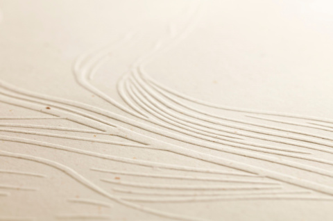 Notes na spirali A4 Tulip paper Notes na spirali A4 Tulip paper