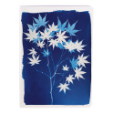 Zeszyt A5 32k Cyanotype mix wzorów Zeszyt A5 32k Cyanotype mix wzorów