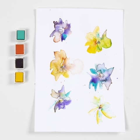 Farby akwarelowe 12 półk. Kwiaty Pejzaże