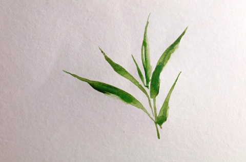 Szkicownik akwarelowy Bambusowy 21x16 cm