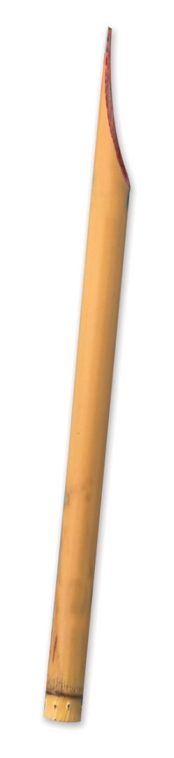 Trzcinka do kaligrafii egipskiej