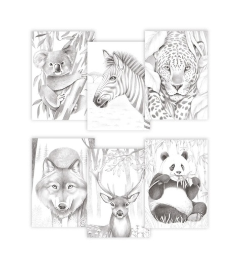 Kolorowanki Odelia Zwierzęta - E. Colin