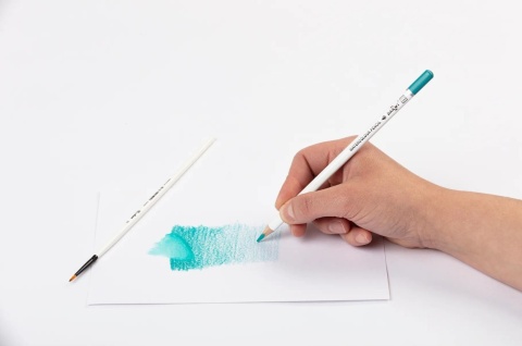 Kredki akwarelowe Darwi 12 kolorów