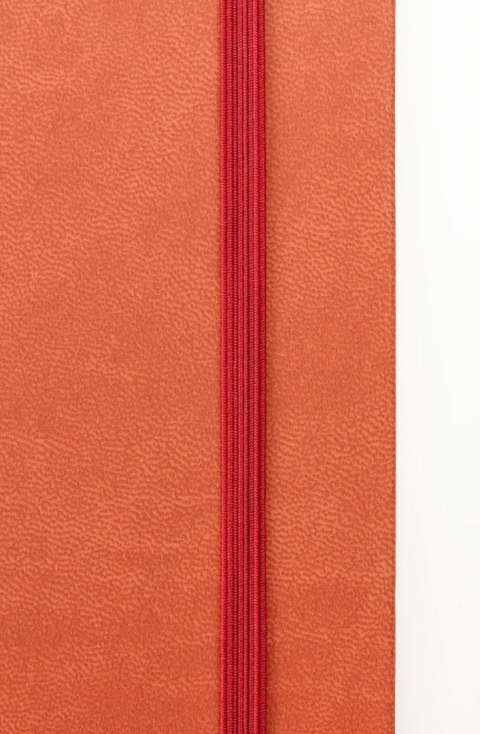 Szkicownik DARWI A4 140g Terakota