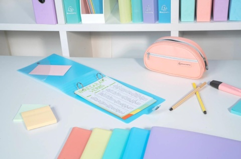 Segregator 2 ringi 160x265mm Pastelowy