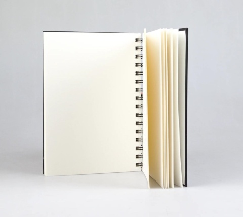 Szkic. Goldline A5 Spirala Ivory Portret