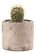 Doniczka walec z Betonu H: 10,5cm D:13cm Doniczka walec z Betonu H: 10,5cm D:13cm
