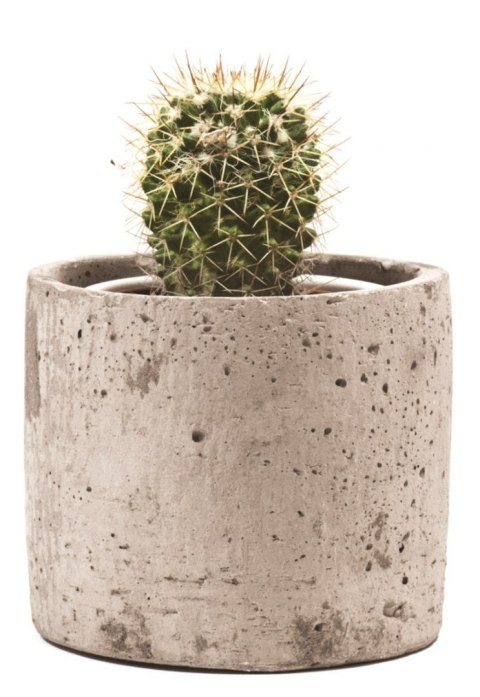 Doniczka walec z Betonu H: 10,5cm D:13cm Doniczka walec z Betonu H: 10,5cm D:13cm